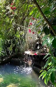 Brunnen umgeben von Grünpflanzen