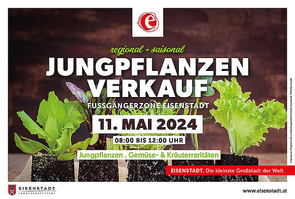 Plakat Jungpflanzenmarkt 2024