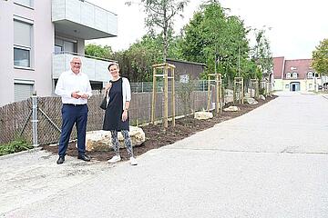 26 neue Bäume wurden vor Kurzem in der Johann Sebastian Bach Gasse gepflanzt. Bürgermeister Thomas Steiner und Grünen Gemeinderätin Anja Haider-Wallner beim Lokalaugenschein 