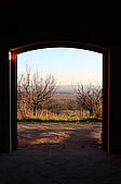 Ausblick vom Weinkeller auf herbstlichen Weingarten