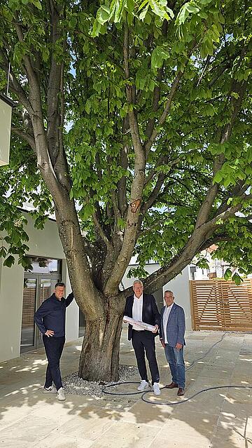 Bürgermeister Thomas Steiner mit Stadtbezirksvorsteher Hermann Nährer (r.) und Baudirektor Werner Fleischhacker (l.) im Außenbereich des neuen Georgizentrums. 