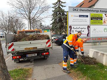 Abholservice Grünschnitt