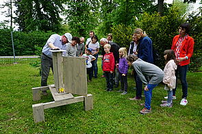 Wissensvermittlung mit Schaubienenstock