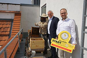 Stadtbienen am Dach des Rathauses